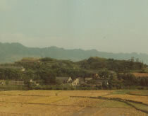 W020250812562991287209