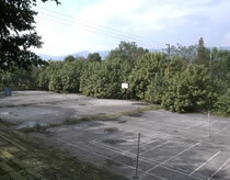 W020250812562991489925