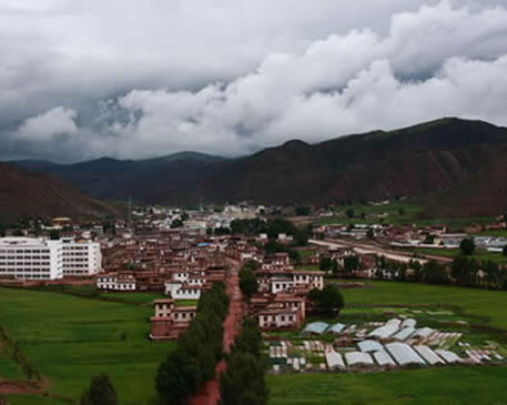 W020250812578308575487