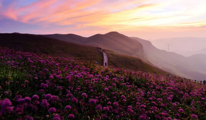 JDB电子·(中国区)试玩平台-JDB电子游戏官网