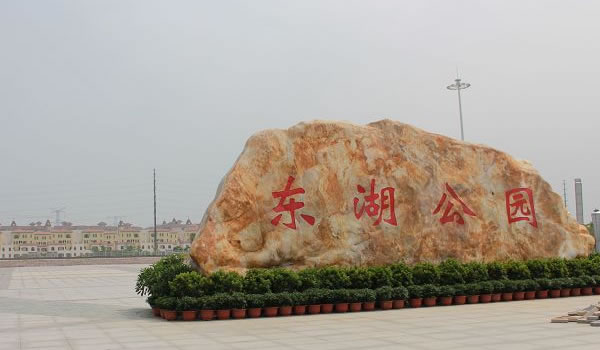 W020250815568883344512