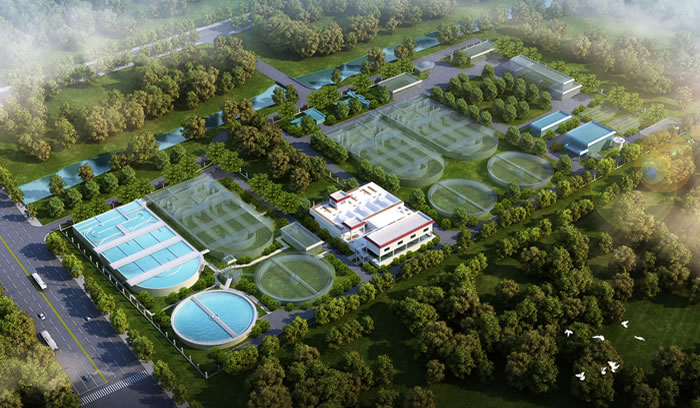 W020250815569109535827