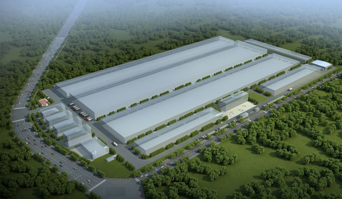 W020250815529033337311