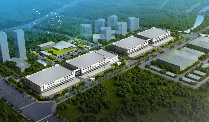 W020250815531365557788