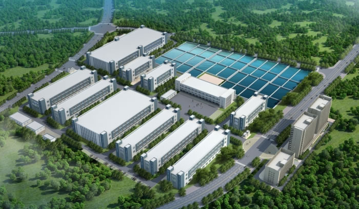 W020250815532772313128