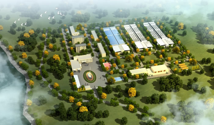 W020250815559217648825