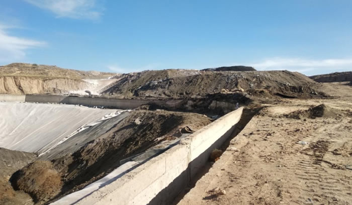 W020250815560035255228