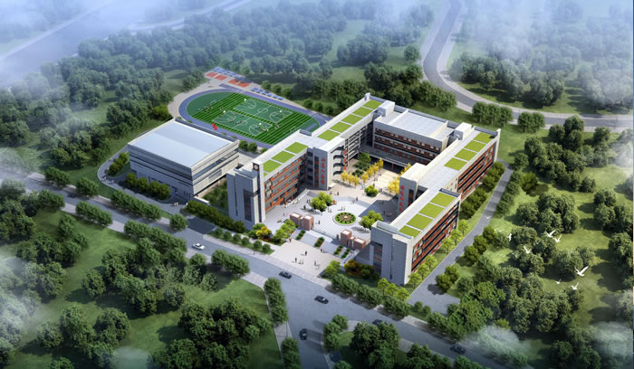 W020250815542941282505