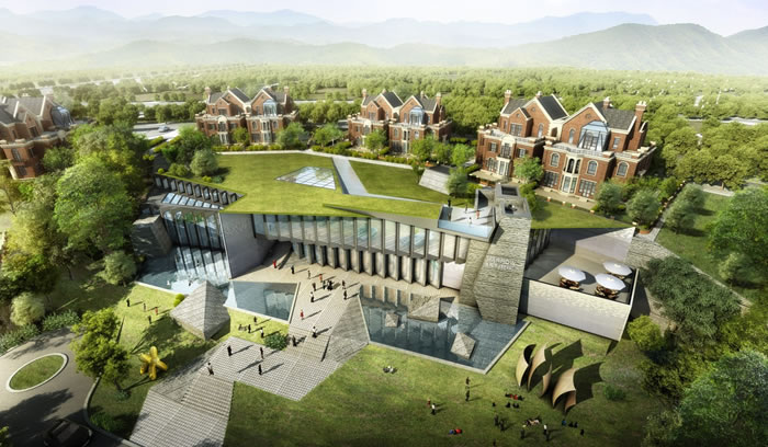 W020250815550654428971