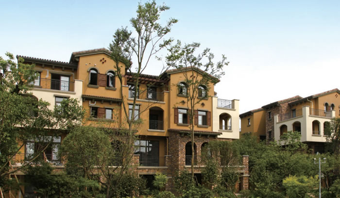 W020250815552315941638