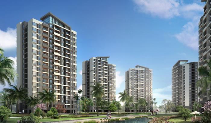 W020250815553387964108