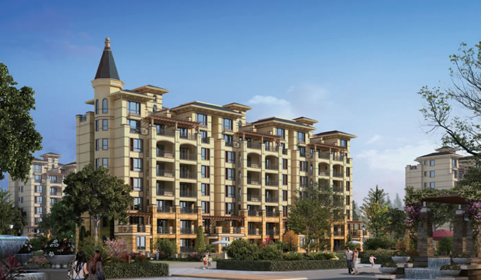 W020250815554061374586