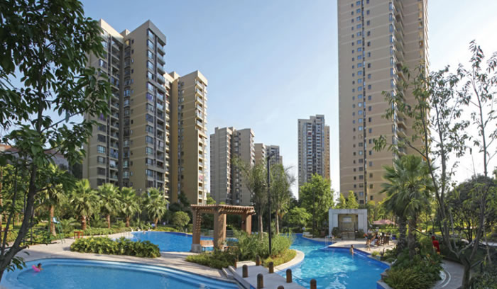 W020250815555571853052