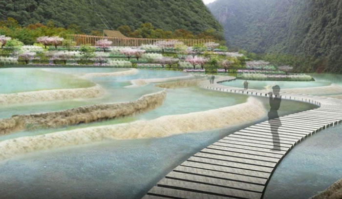 W020250815558192939504